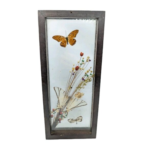 Vintage Shadow Box Butterflies Flowers display glass 12.4" x 5.4" boho READ - Picture 1 of 16